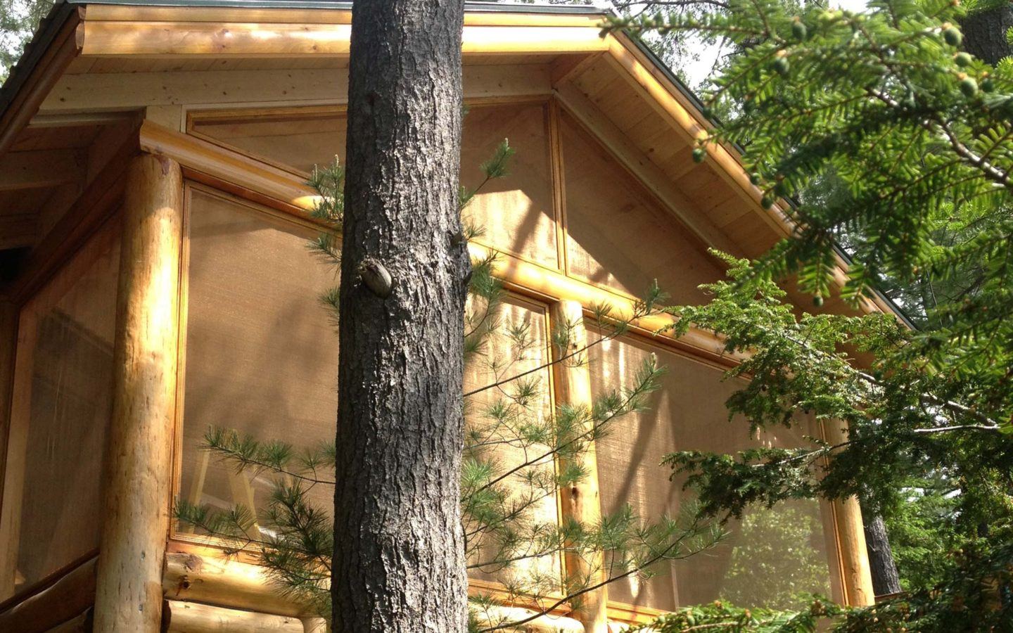 brown wooden house near green tree during daytime